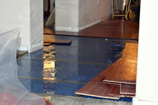 Professional Emergency Water Damage Restoration technician working in Belle Plaine, KS